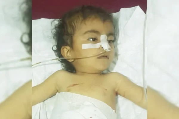 İki yaşındaki Ceylan SİHA ile katledildi