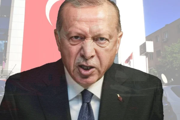 Devletin iç organları