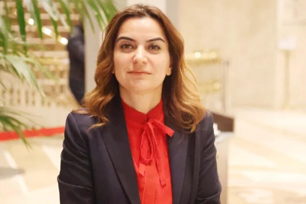 Hükümetin sorumluluğundadır