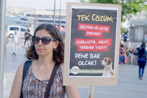 Yaşam hakkı savunucuları hedefte