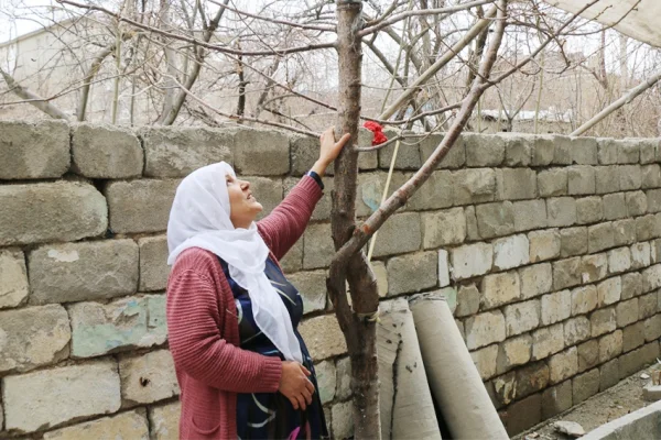 Her Nisan’da bir ağaç