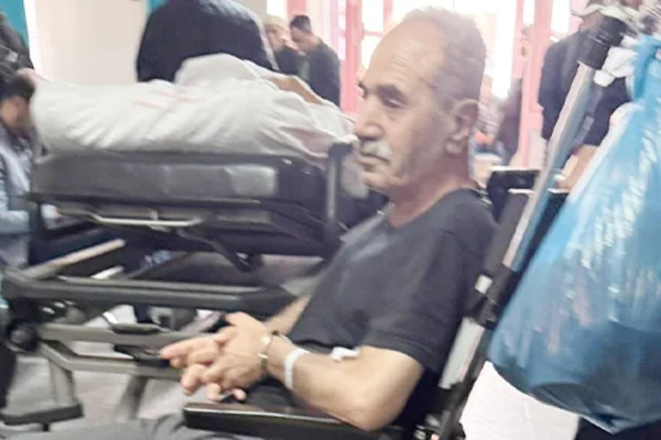Tutsak Çam için başvuru