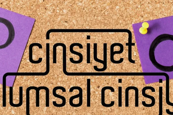 Toplumsal cinsiyet kavramı neden yasaklandı?