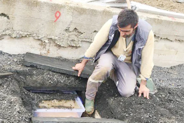 Acımızı barış dindirir