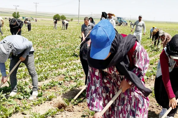 Güneşin altında çapa sallayan işçiler