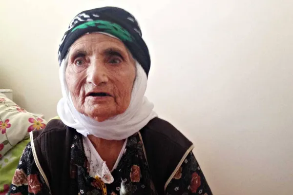 Îdir’in asırlık çınarı