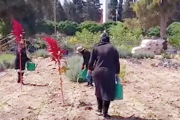 Sur’un tohumlarında umutlar yeşeriyor