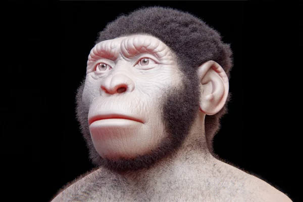 Homo naledi ve mezar kültürünün geçmişi