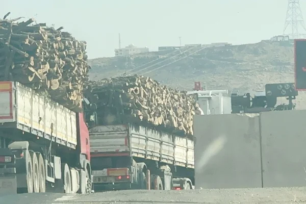 Kürdistan’da doğa kırımı