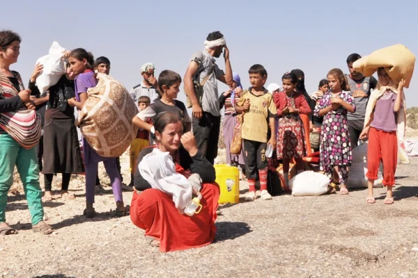 Lorîn Şengal Soykırımı'nın özeti