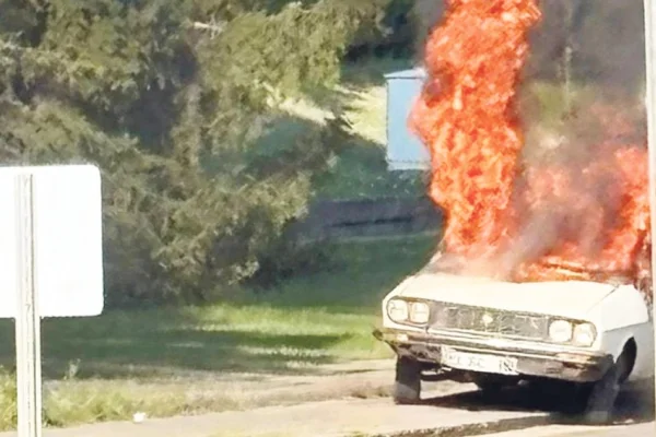 Beyaz toros yakıldı, komisyon toplandı