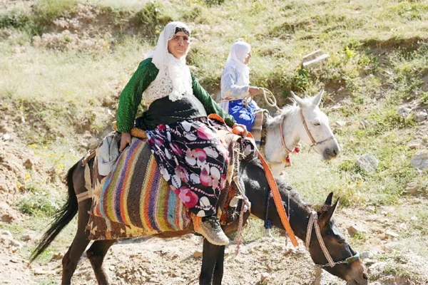Katır sırtında 4 ay geçirdiler