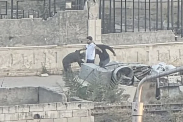 Halep’i Kürtsüzleştirmek istiyorlar