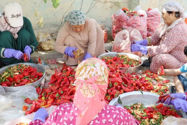 Durango ile kardeşlik projesi: Kobanê Kadın Kooperatifi