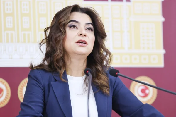 Meclis 'Barış Yasası' hazırlasın