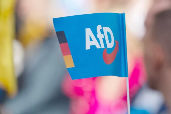 AfD yükselişte