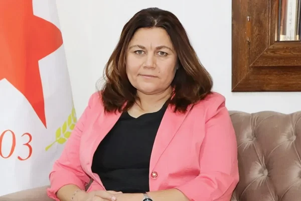Devrim içinde devrim