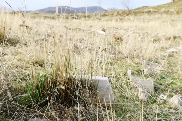Boşaltılan mezarlarda kırılmış taşlar kalabildi