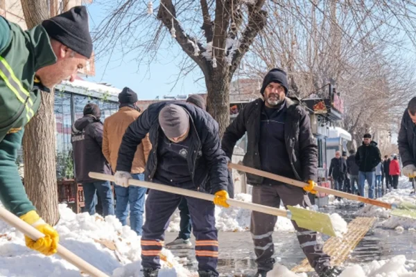 Kayyum 'kar yağmıyor' diye araçları satmış