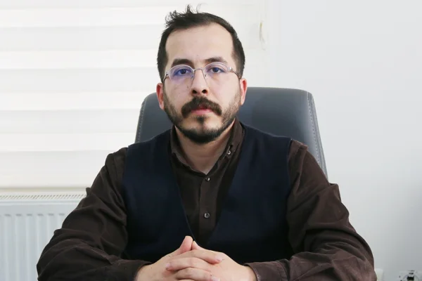 Uluslararası mekanizmalarda girişim