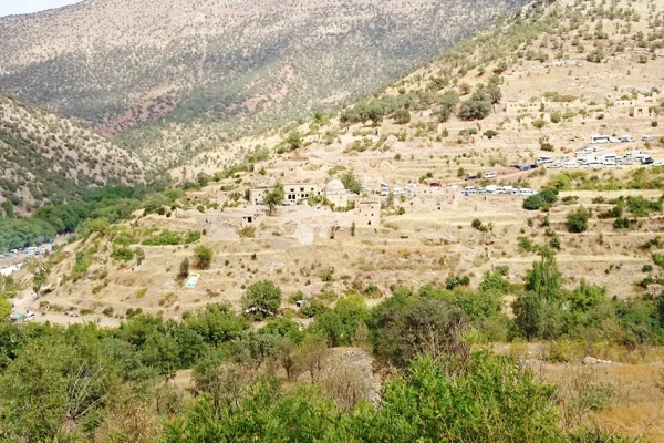 Kürtleri göç ettirme, etnik nefrete dayanıyor