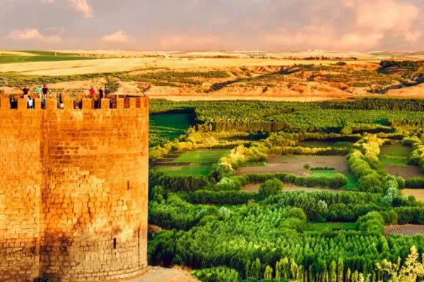 Amed'in doğası