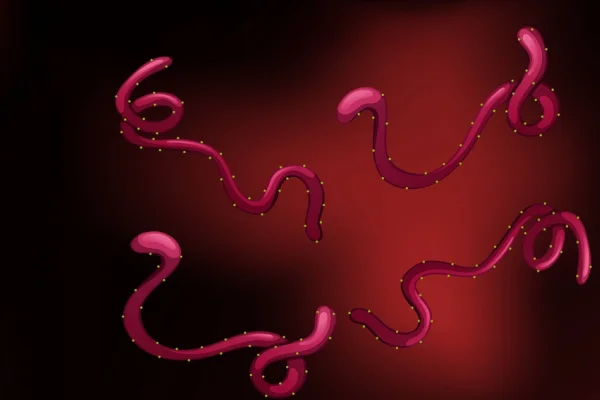 Ebola