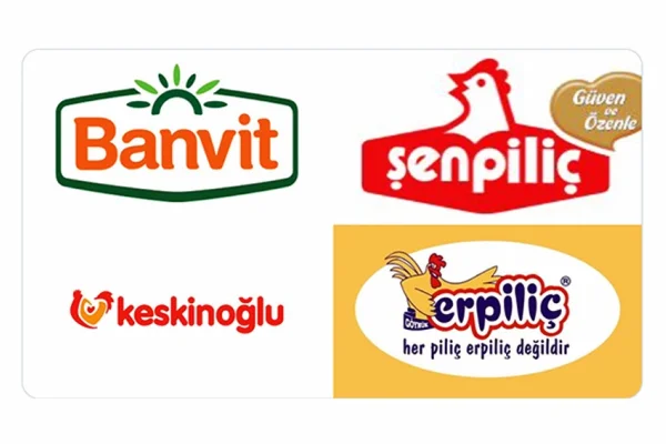 Tüm tavuk şirketleri iktidarın