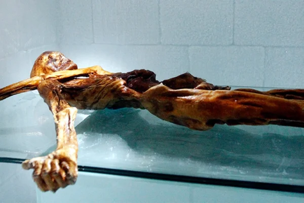 Ötzi’nin mikropları hareketlendi