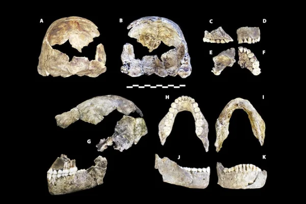 Homo naledi fosilleri yeni bir bilmece yarattı