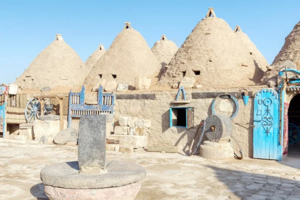 Kerpicin yeniden keşfi