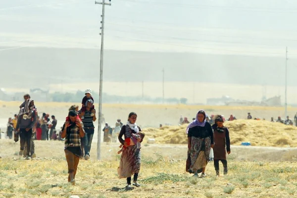 Fermandan yeni bir varlık tarihine