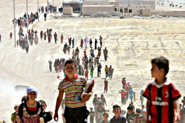 Êzîdî soykırımında politik İslamcılık