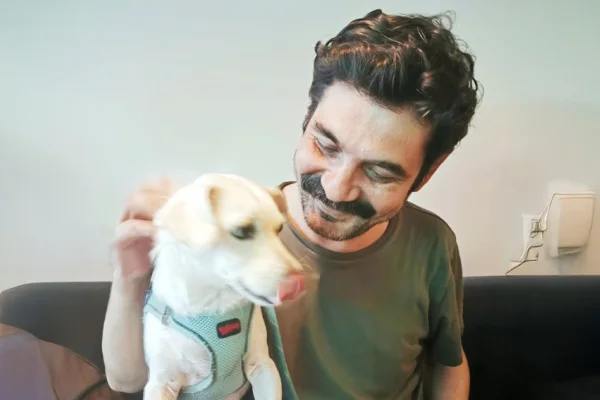 Şehrin köpekleri geri döner mi?