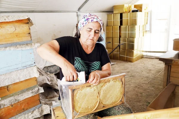 Balın ötesi...