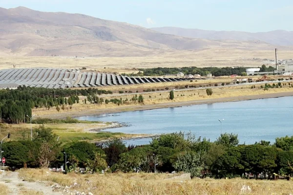 Ekolojik cinayet