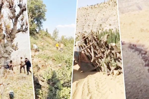 Antalya’da iklim, Zap’ta kıyım