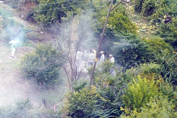 Kerboran’da ‘ÇED’ ile kıyım