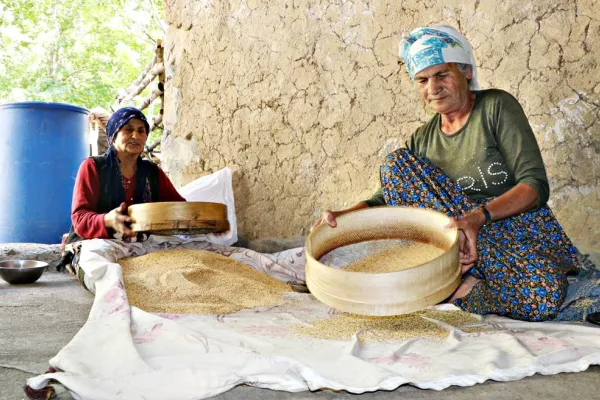 Susamın meşakkatli yolculuğu 