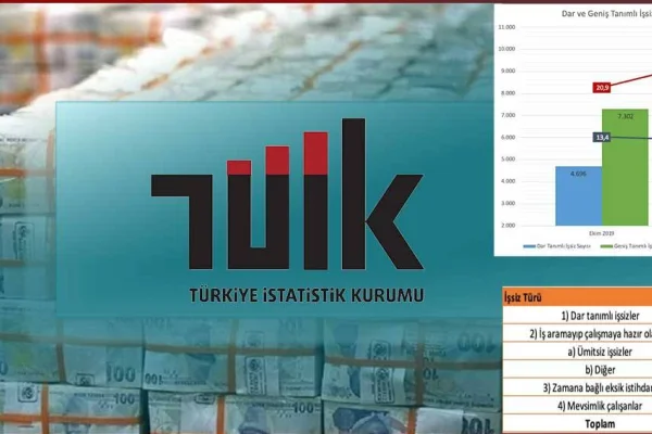 TÜİK sanal iş başı yaptırdı