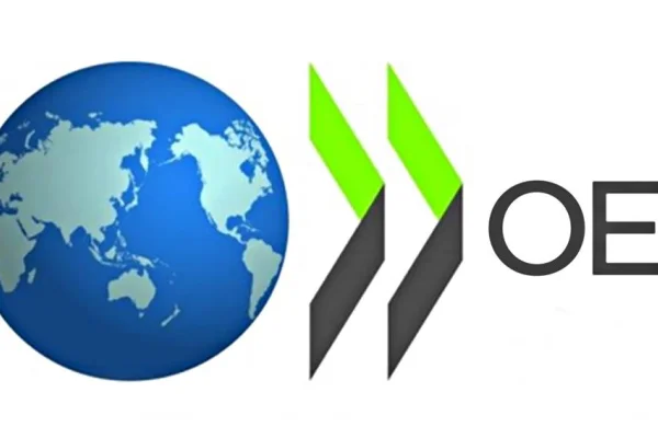 OECD Türk iktidarını uyardı