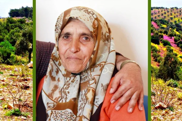 Nilovna'dan Elif Ana'ya