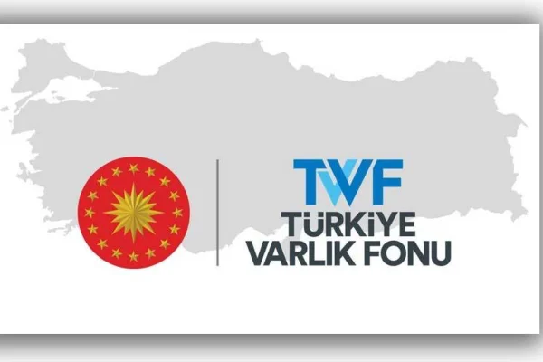 Paralel hazine: TVF