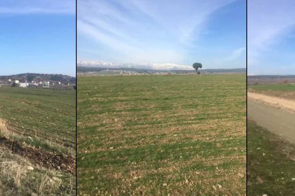 Maraş’ta Kürtlerin toprakları gasp ediliyor
