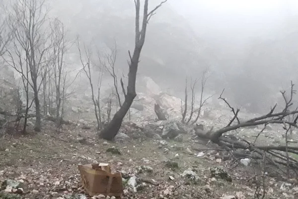 İşgalciyle işbirliği değil, birlikte mücadele şarttır
