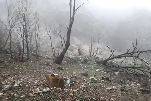 Gerilla kazandı gerilla kazandırıyor