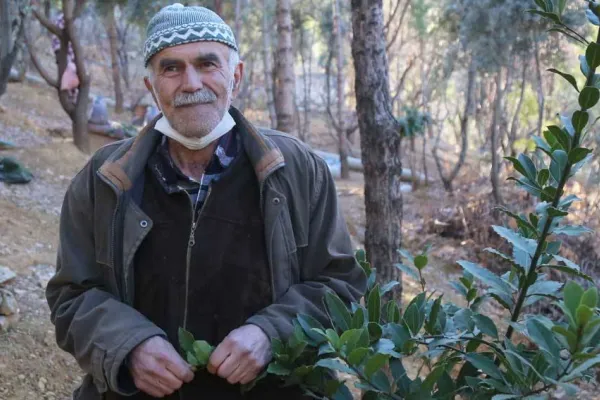 Tek başına 20 bin ağaç dikti