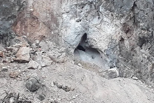 TC’nin Garê’de yaşadığı Vietnam sendromu