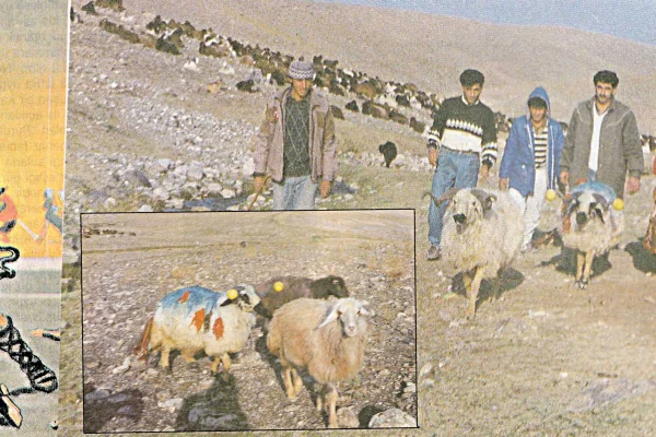 Kürdistan köylerinde seyirlik oyunlar