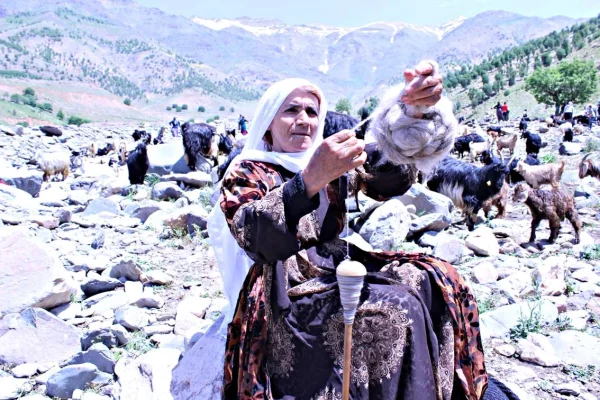 ‘Teşî’yi yaşatmak bizim elimizde’